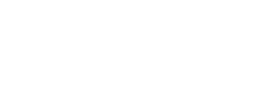Sarasota Local Honey Bee Icon